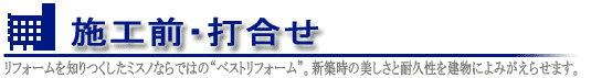 ���y�C���g�����̓h���X�F�{�H�O�E�ō���